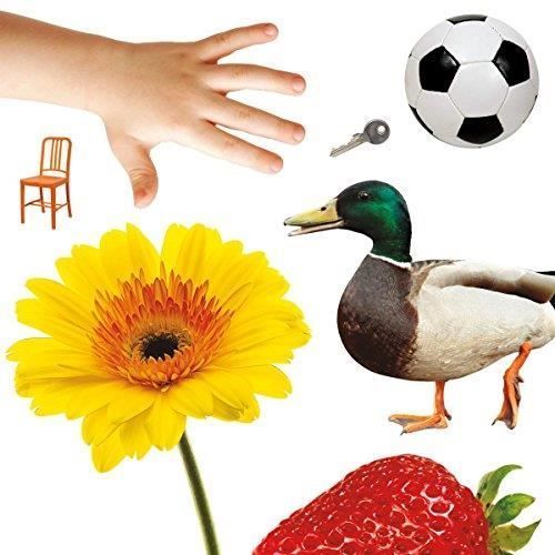 Jeu éducatif pour enfants de 6 mois à 2 ans - Placote - Le dé des premiers mots - 60 photographies