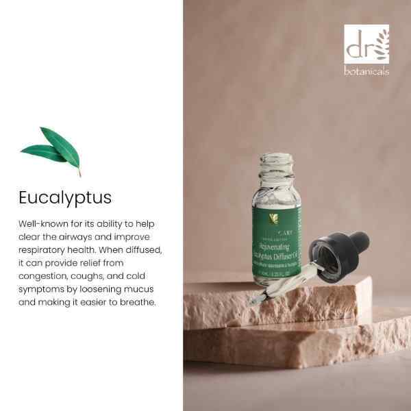 Aceite para difusor de eucalipto rejuvenecedor Dr Botanicals 2 x 10 ml | Salud | Superdrug