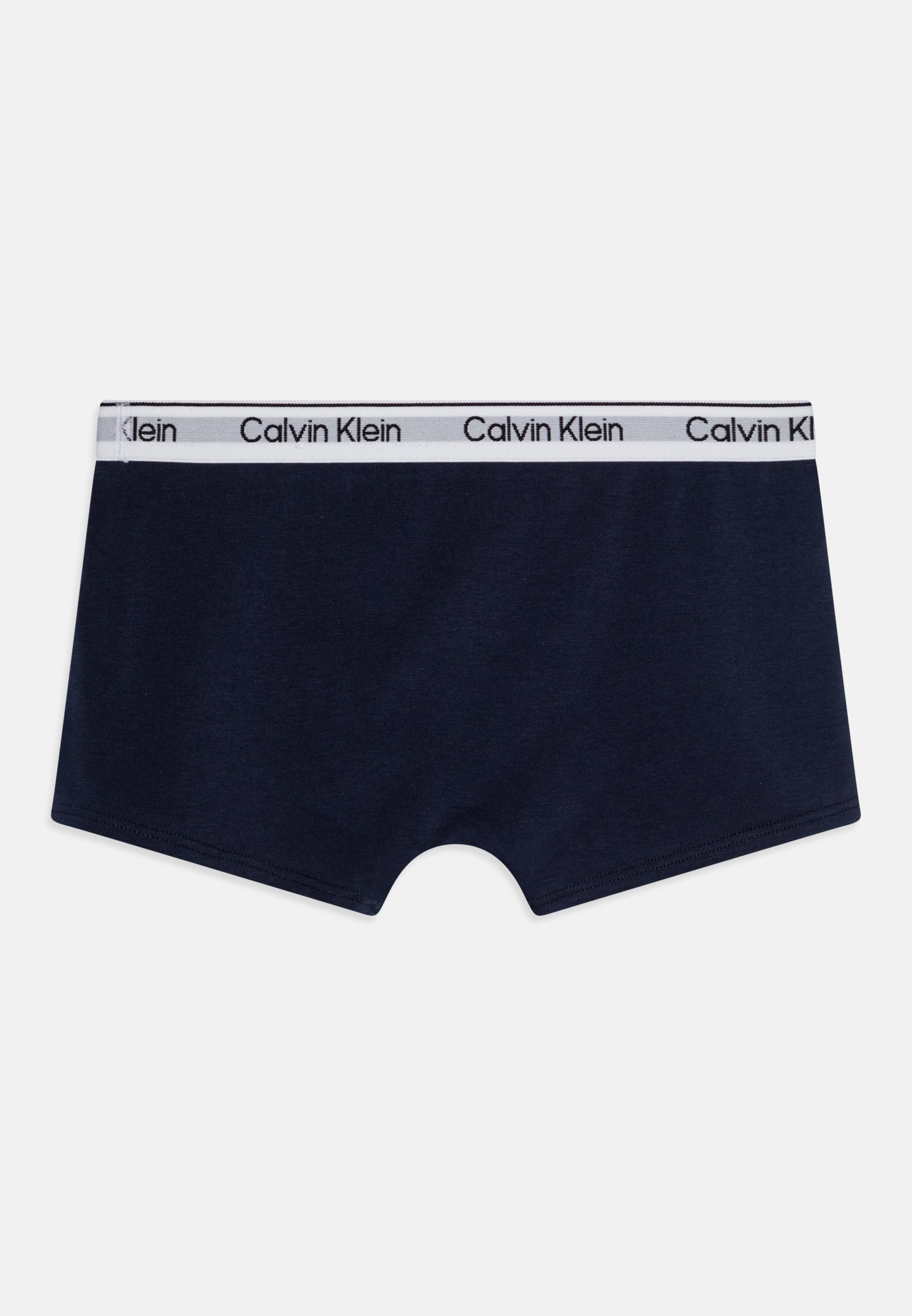 Calvin Klein Underwear TRUNK 2-PACK - Broekjes - zwart/zwart iris