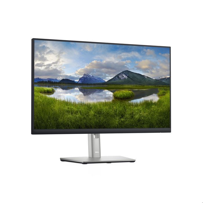 Dell P2422H 24