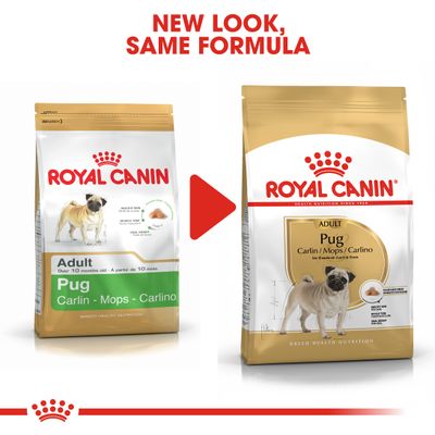 Royal Canin Pug Adulto
