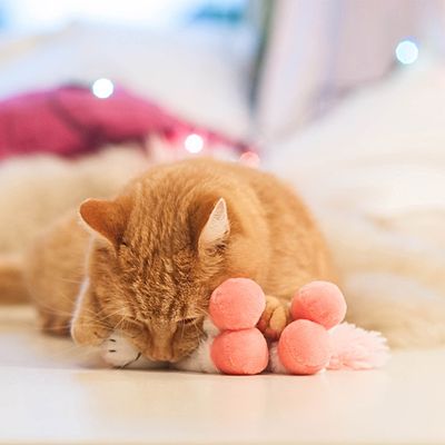 Aumüller Eenhoorn Kussen Kattenspeelgoed