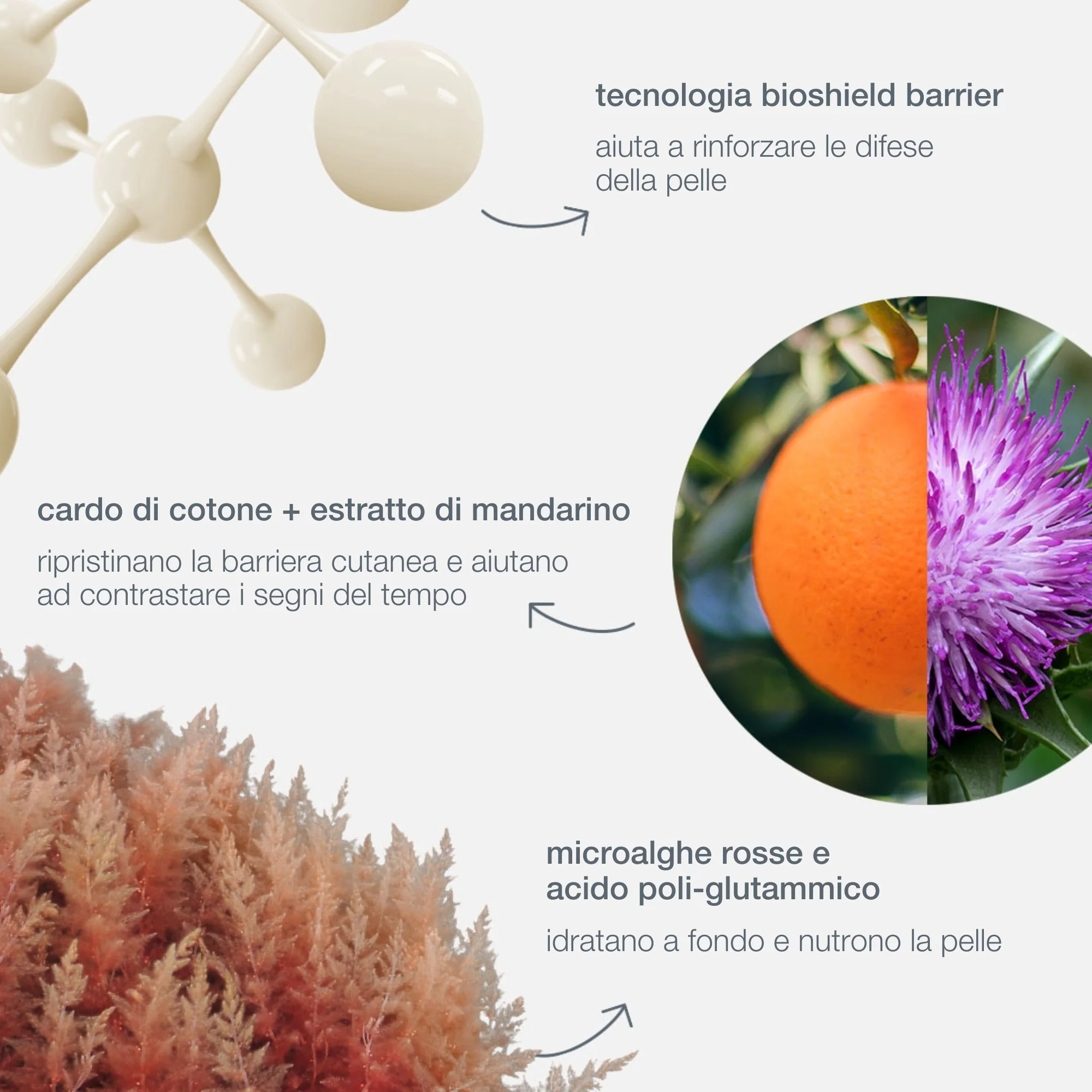 Dynamic Skin Dynamic Skin Strenghtening Serum - Siero viso nutriente, Siero viso antimperfezioni, Spray viso effetto globale