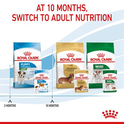 Royal Canin Mini Puppy ao molho