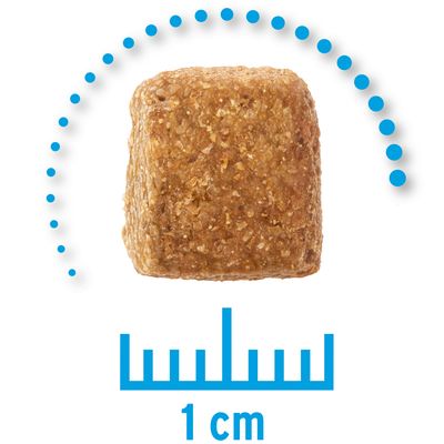 Concept for Life Veterinärfutter Sparpackung 2 x 12 kg