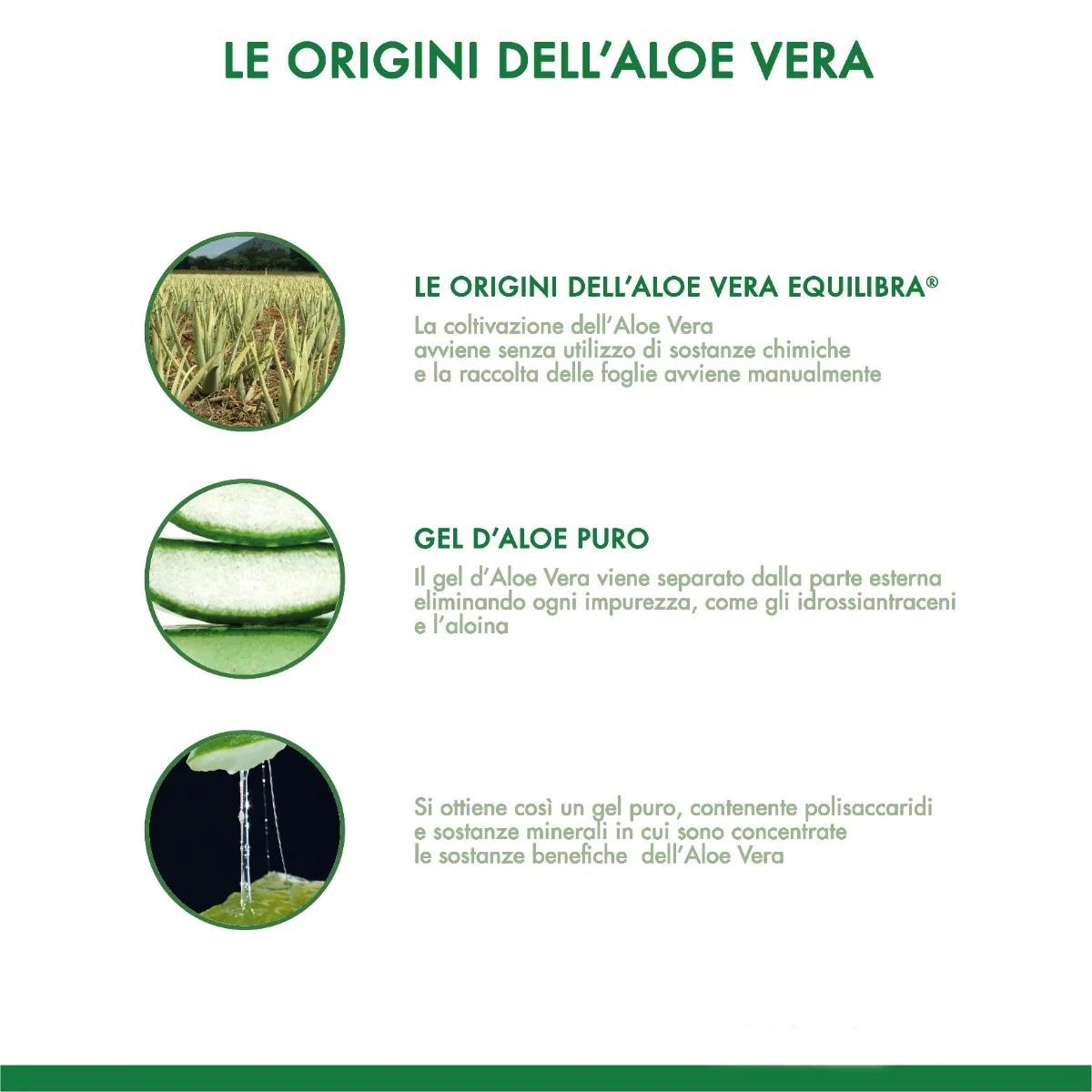 EQUILIBRA Equilibra Aloë Vera Slim 500 ml Reinigende functie