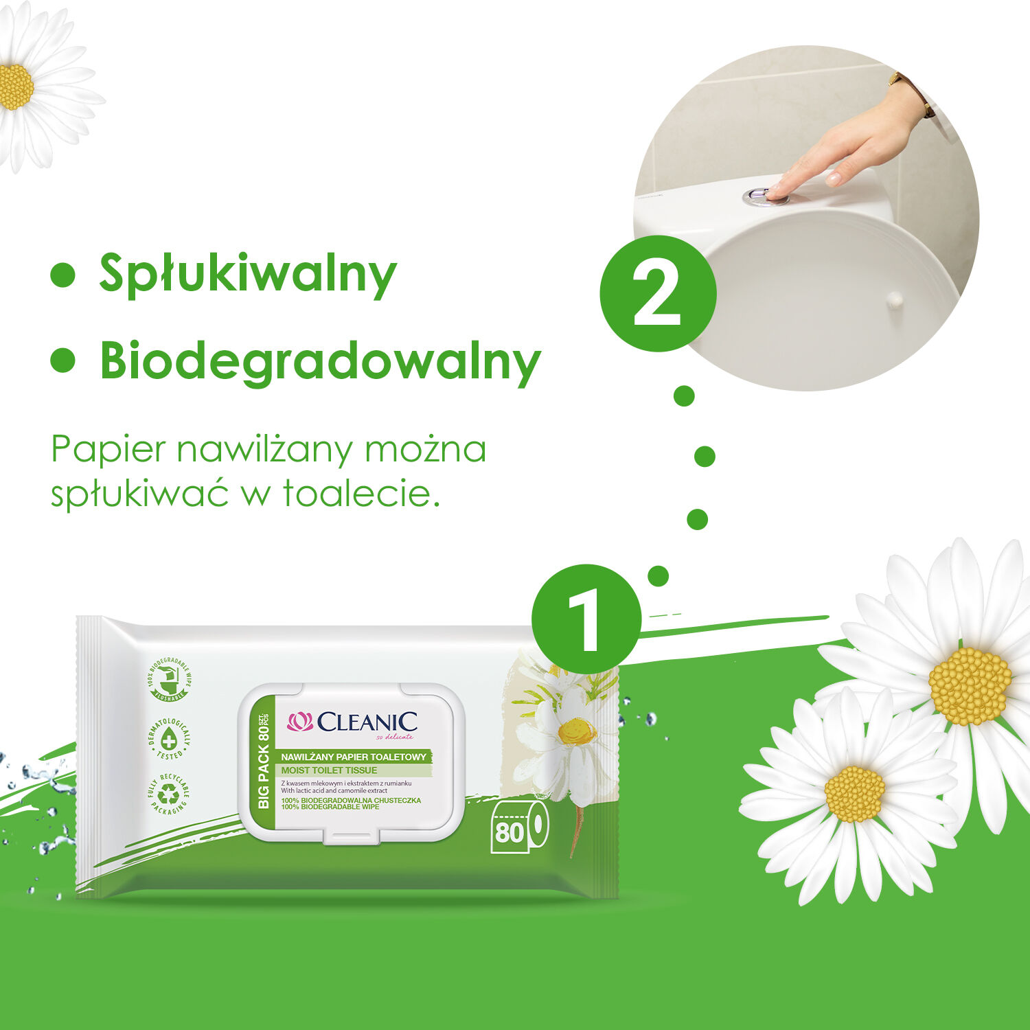 Čistilna kamilica