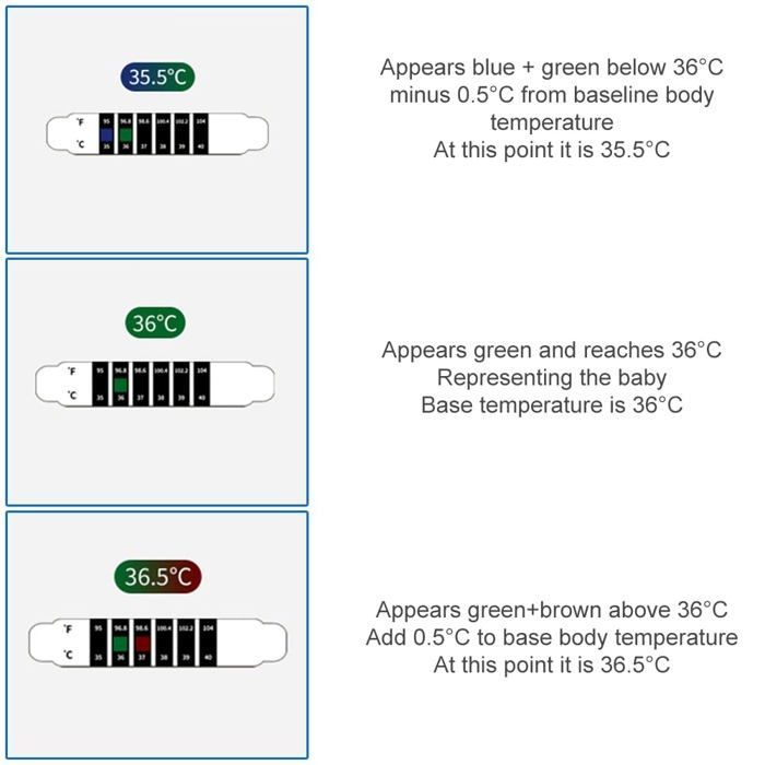 Tiras termométricas portátiles para la frente, adhesivas, para medir la temperatura del bebé o de los adultos. Termómetros de viaje.