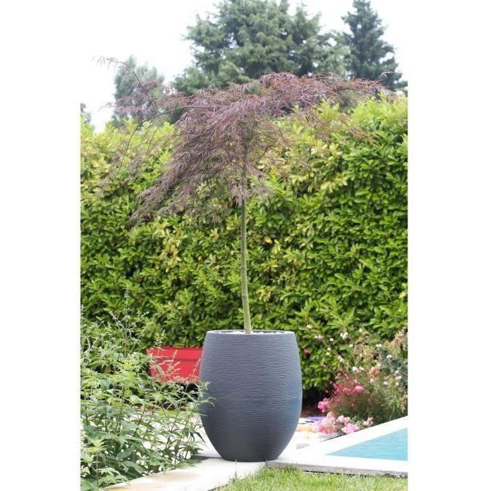 Vaso redondo em formato de ovo, Ø 50 cm - EDA - Grafite - 53 cm de comprimento - Ø 50 x A. 53 cm - Cinza antracite