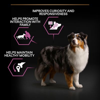 PURINA PRO PLAN Średnia i duża karma dla dorosłych 7+ lat