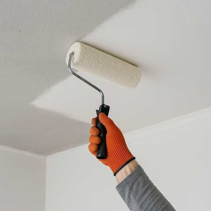 Peinture Plafond - 20 L   - Codeve Bois - RAL 9010 - Blanc pur