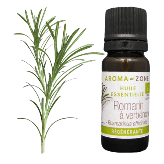 Huile essentielle Romarin à verbénone de Corse BIO 10ml