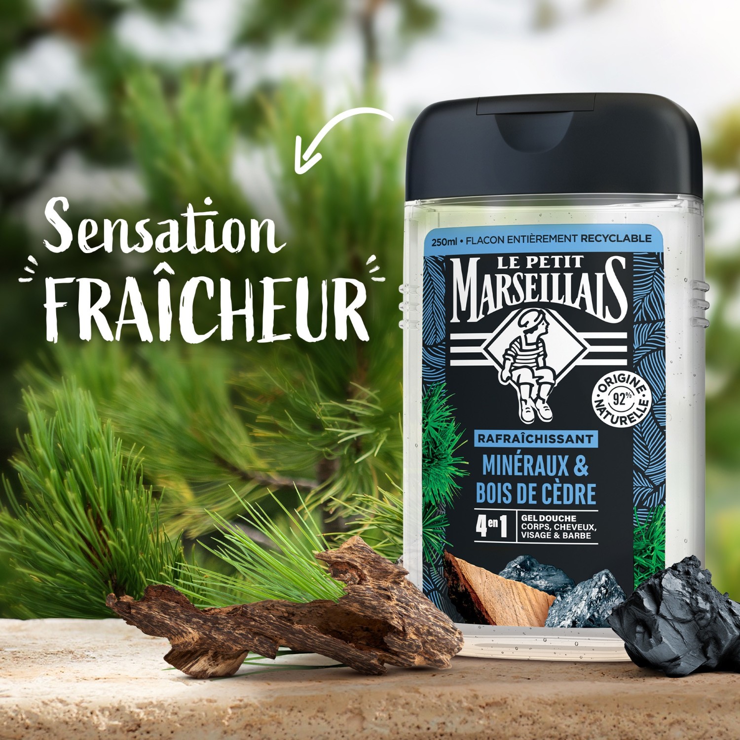 Le Petit Marseillais DOUCHE HOMME MINERAUX & BOIS DE CEDRE