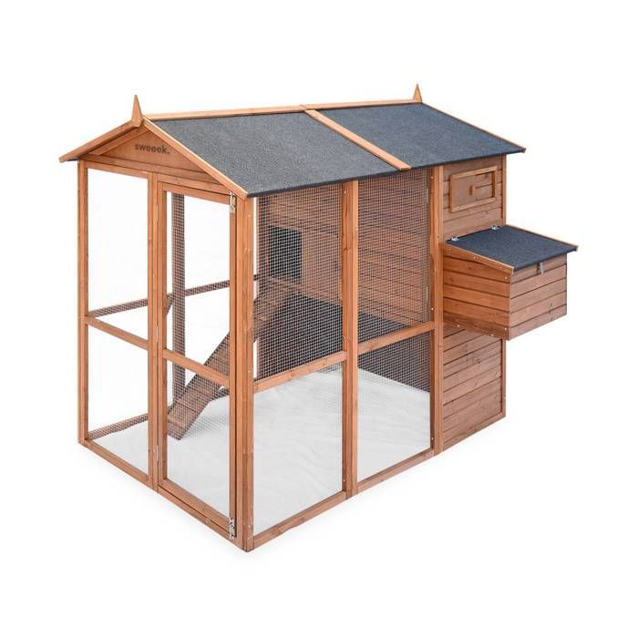 Pollaio per 6-8 galline, in legno di abete, con recinto, COTENTINE