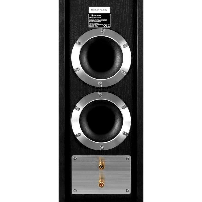 auna Linie-600-BK - Coppia di diffusori da pavimento passivi a 3 vie bass-reflex, 140 W RMS - neri
