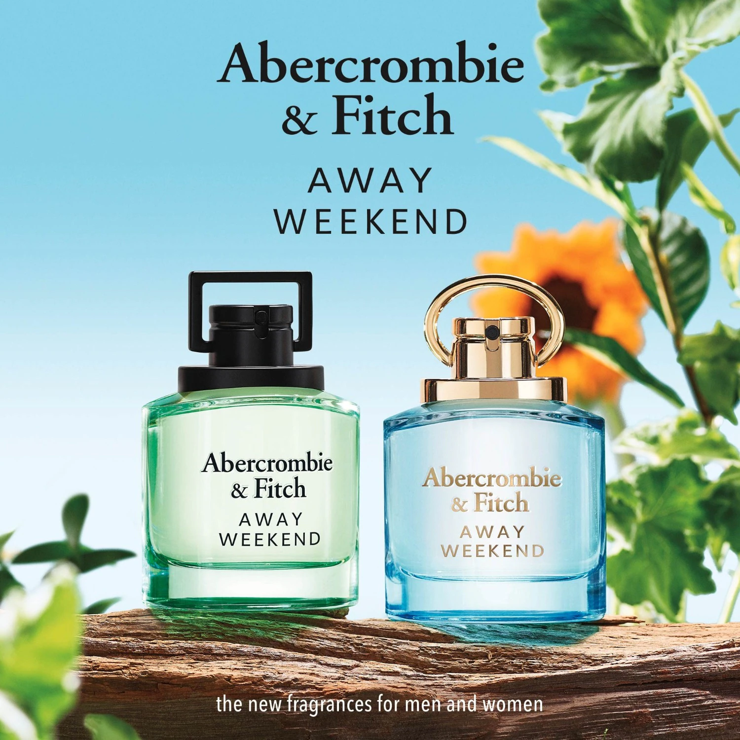 Abercrombie & Fitch WEEKEND Homme