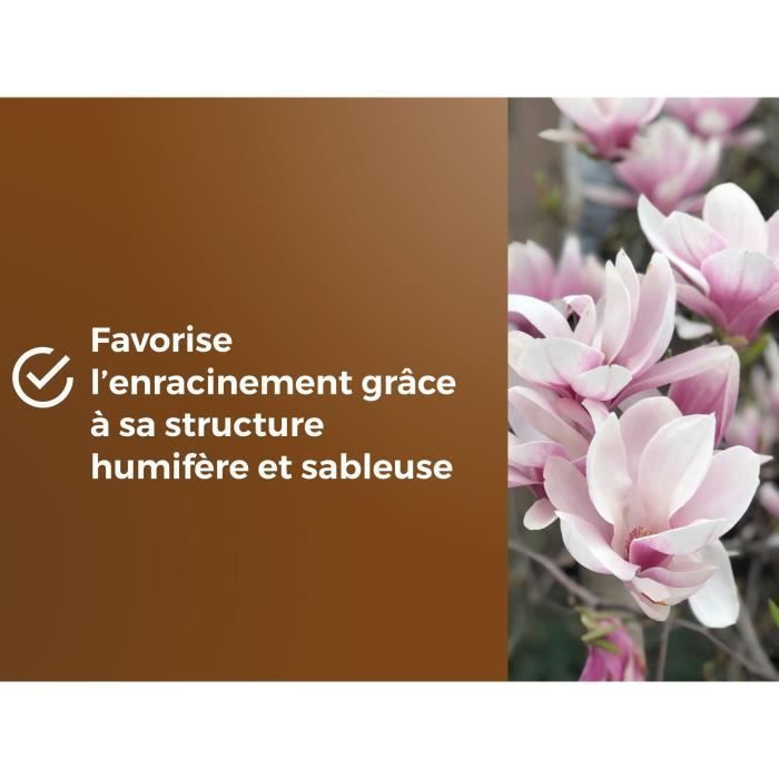 Terreau spécial plantes de bruyère - OR BRUN - OBRTBRU6U - 6L - Meilleur enracinement
