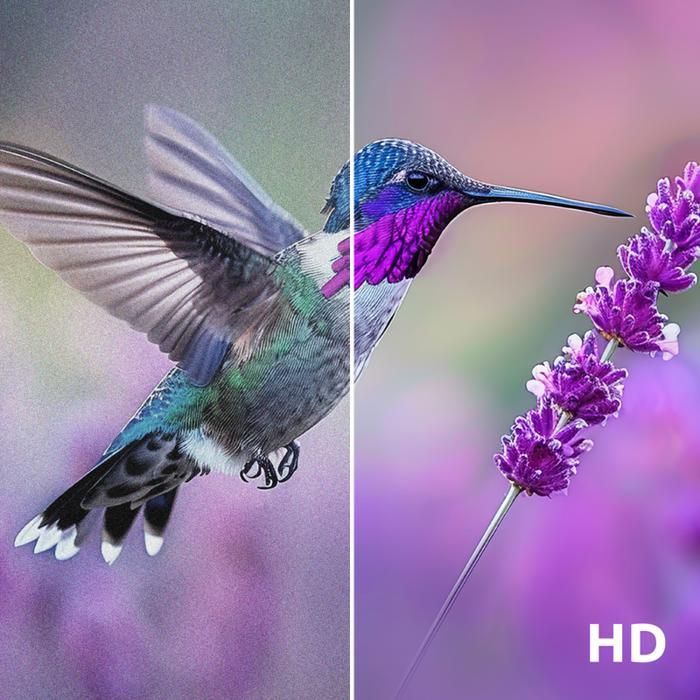 TV HD 32