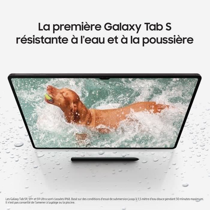 Tablette Tactile SAMSUNG Galaxy Tab S9+ 12,4