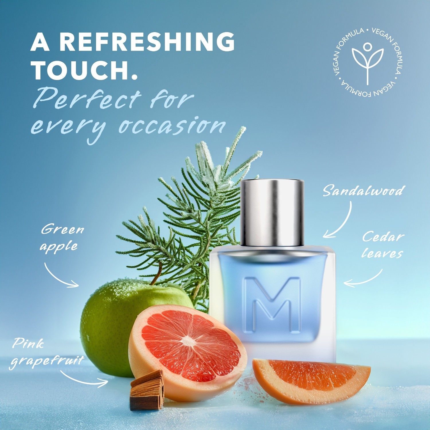 Mexx toaletna voda Ice Touch za muškarce - 30 ml