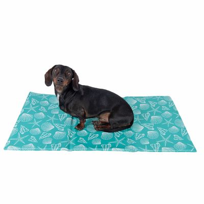 Bondi kylmatta