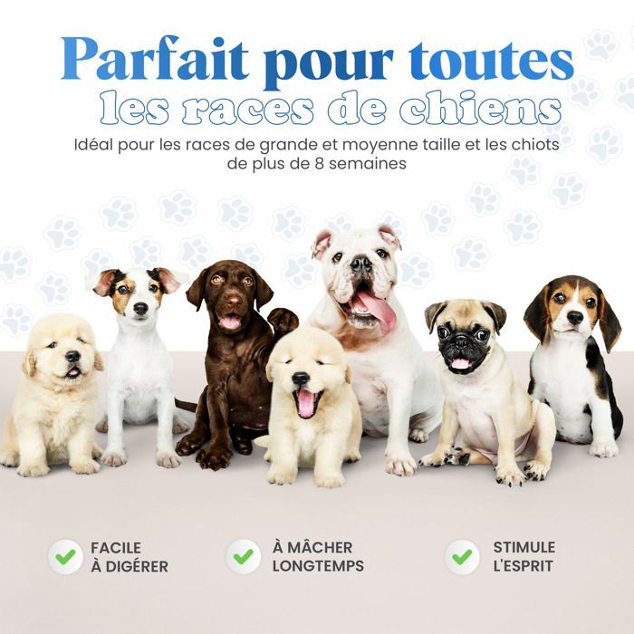 Barre De Curcuma Healthy Pets Pour Chiens - Contre Le Tartre Et L'hygiène Dentaire - IDéale Pour Les Chiots Et Les Chiens Adultes