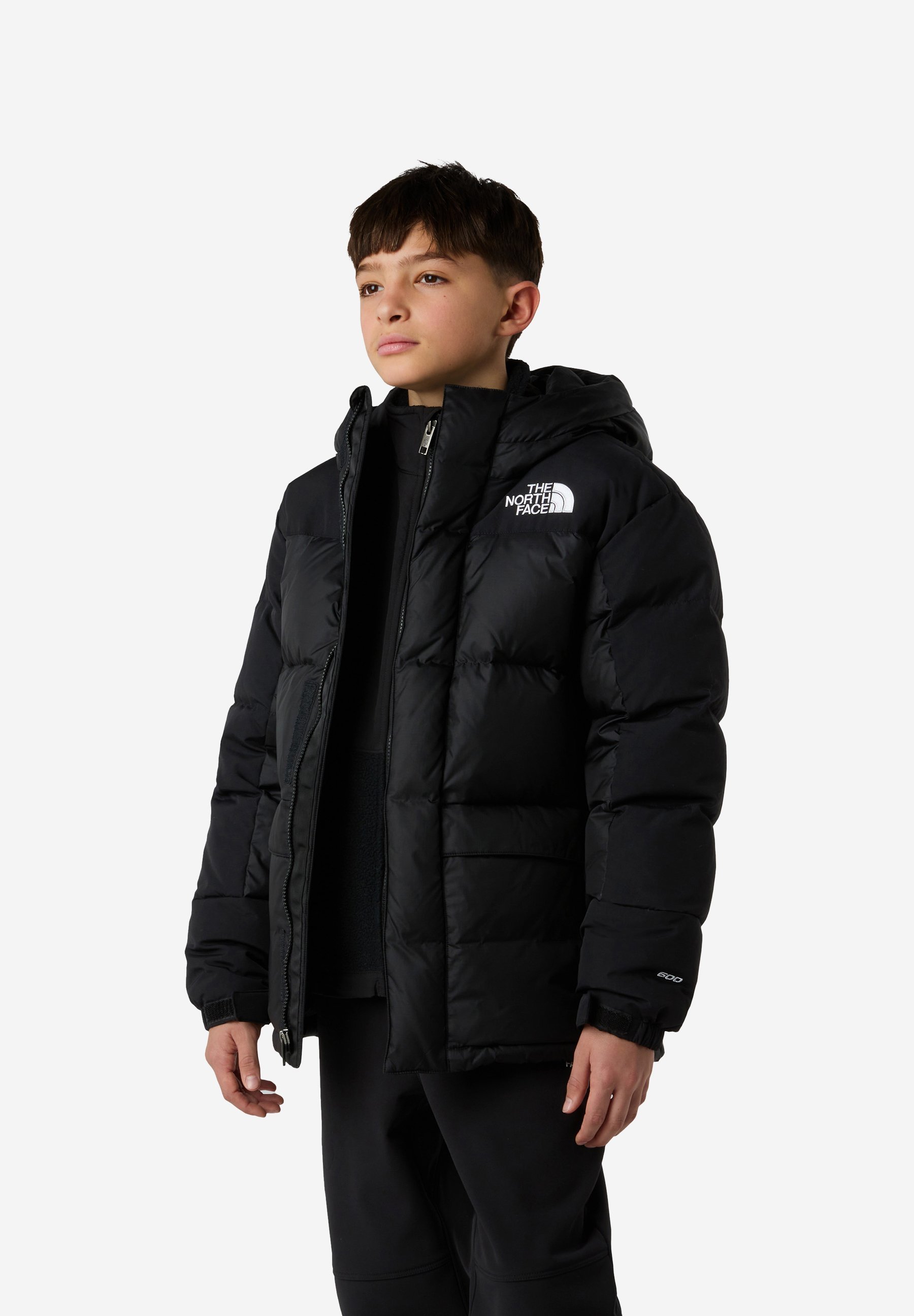 The North Face HMLYN - Donsjack - tnf zwart tnf zwart