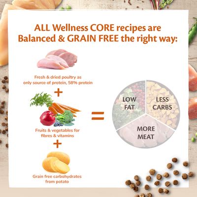 Wellness Core Kitten Original Tørrfôr til Katt