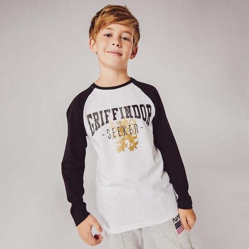 Camiseta Harry Potter