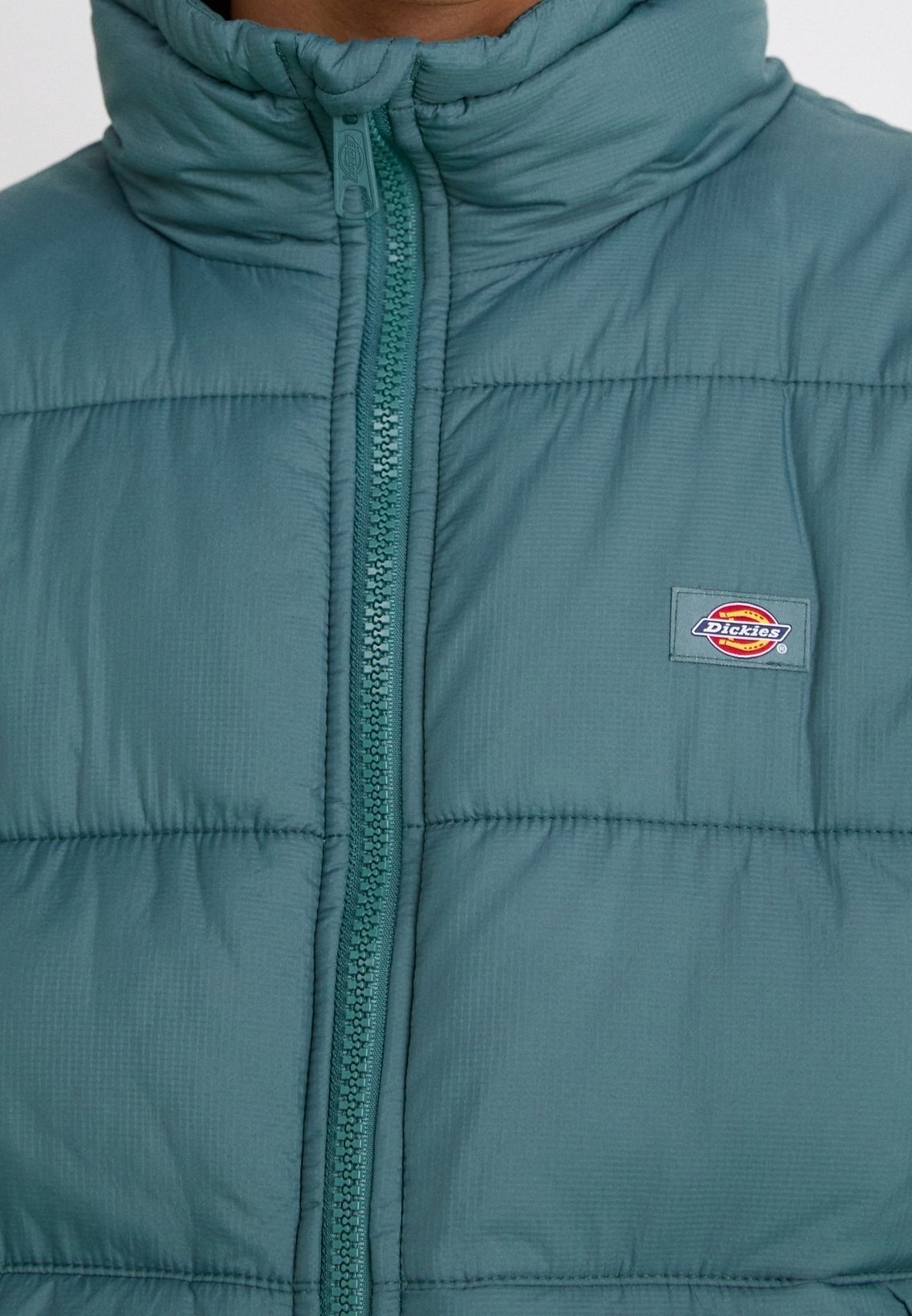 Dickies Winterjacke - dunkelgrün