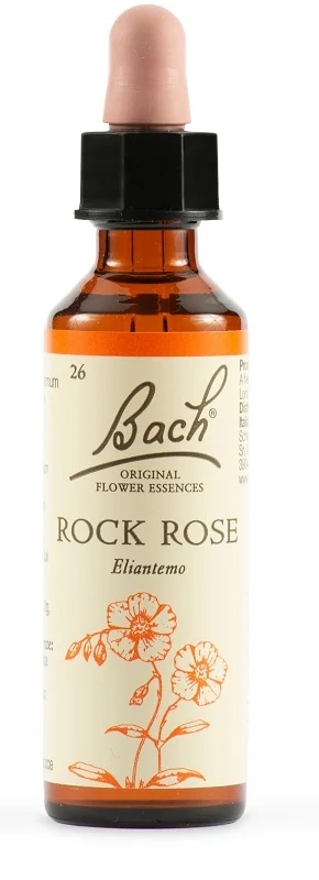 SCHWABE Schwabe Bachblüten 26 Tropfen Zistrose 20 ml