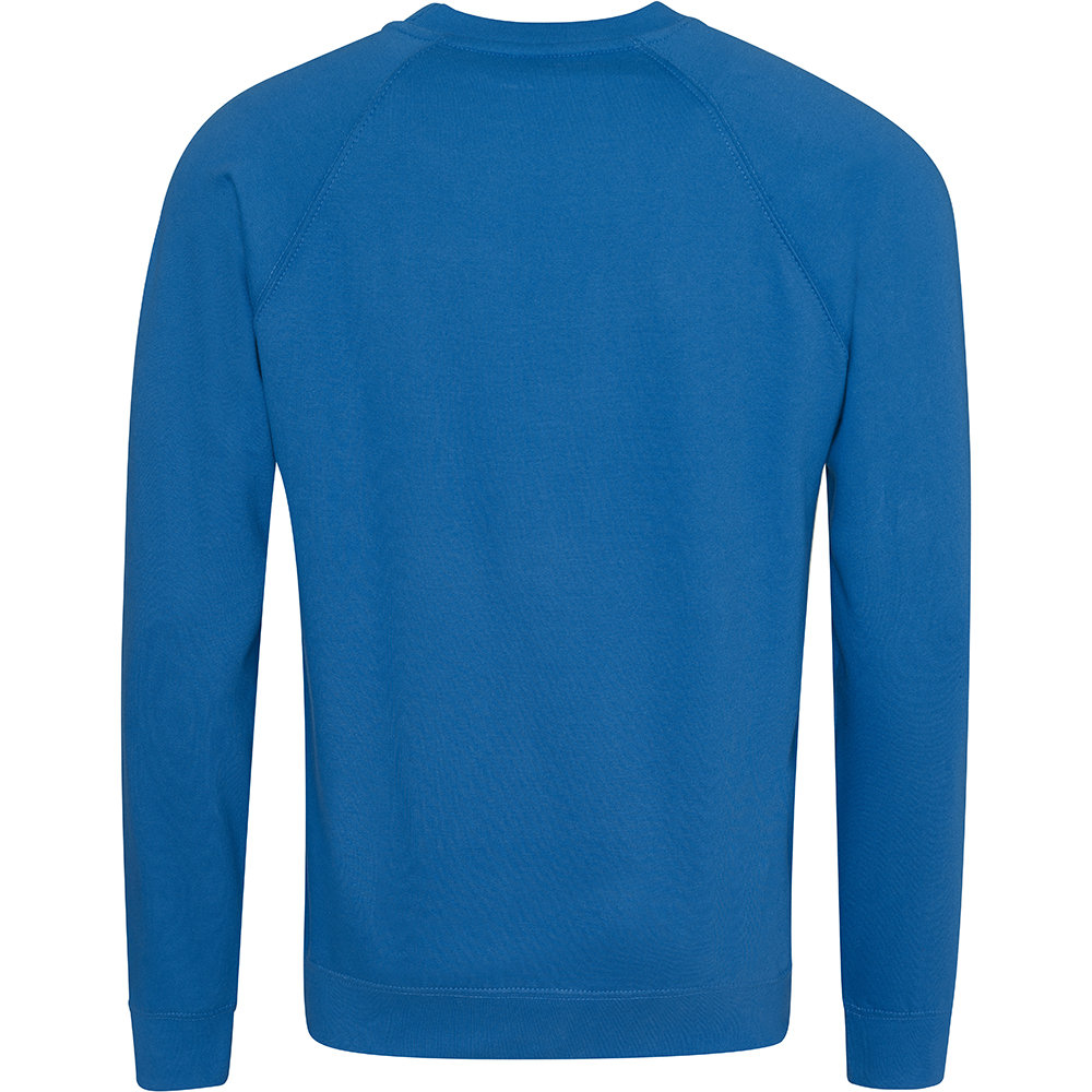 Sudadera Con Mangas Raglan Awdis Academy