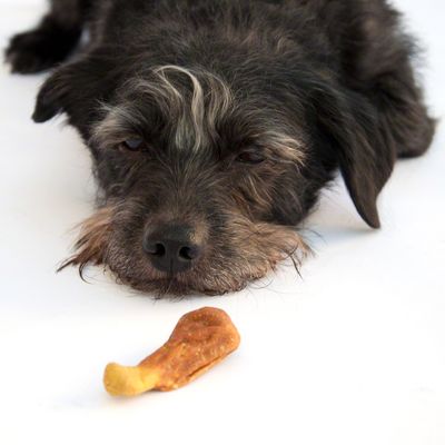 Trixie Premio Kyllingklubber Light