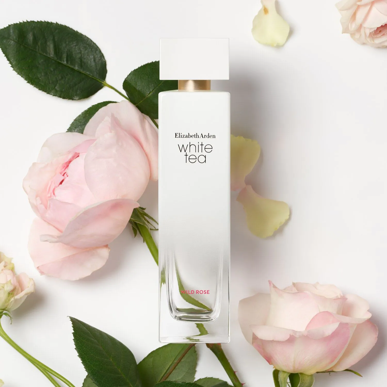 Elizabeth Arden White Tea Wild Rose Woda toaletowa dla kobiet 100 ml