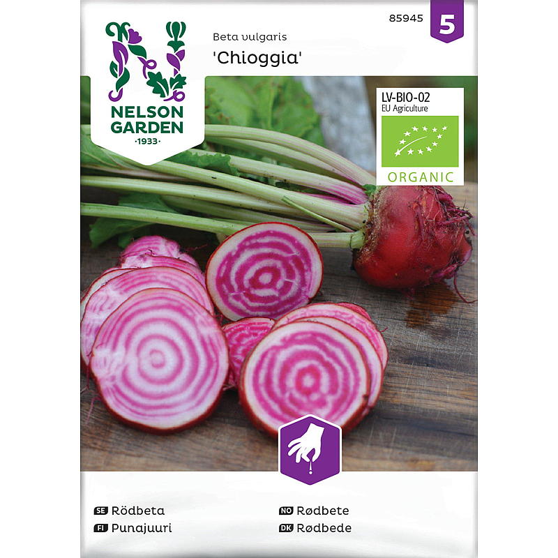Semences de betteraves de jardin Nelson Chioggia, biologiques