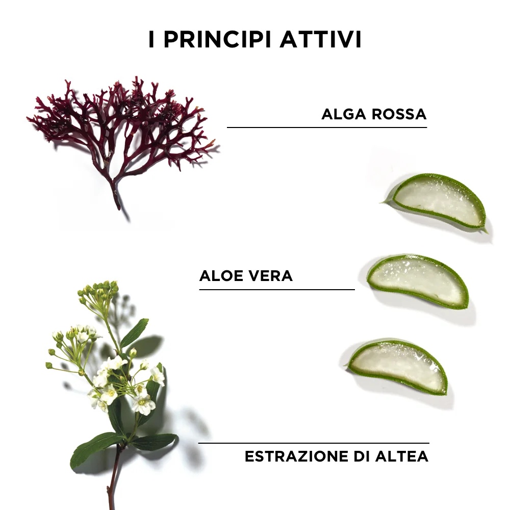 PHYTO Phytodéfrisant contre les frisottis