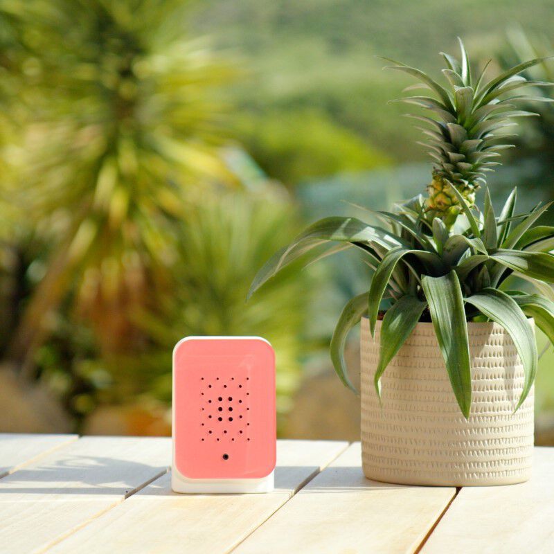Relaxound Junglebox