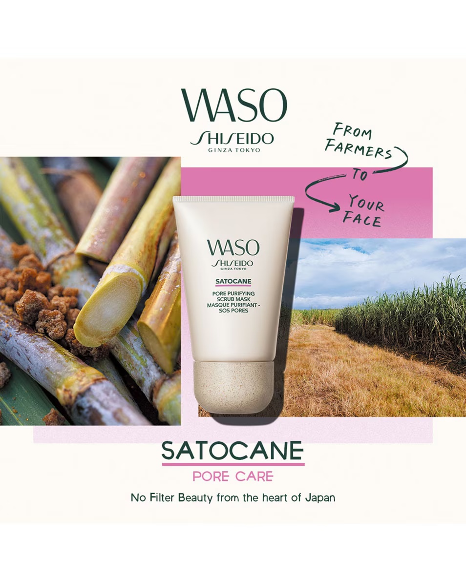 SHISEIDO WASO SATOCANE PORE PURIFYING SCRUB MASK