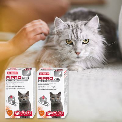 Beaphar FIPROtec® COMBO Plamka na pchły i kleszcze dla kotów