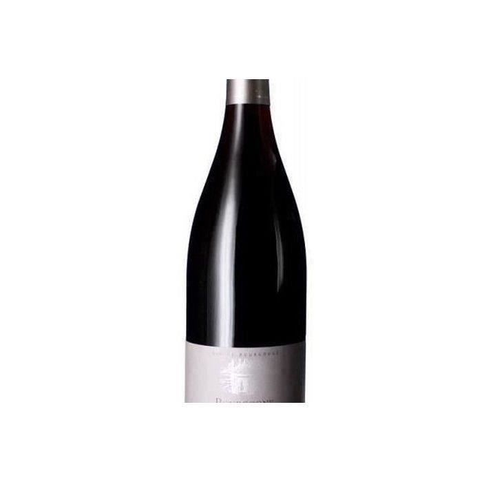 Pansiot 2023 Bourgogne Hautes-Côtes de Beaune - Vino Tinto Borgoña