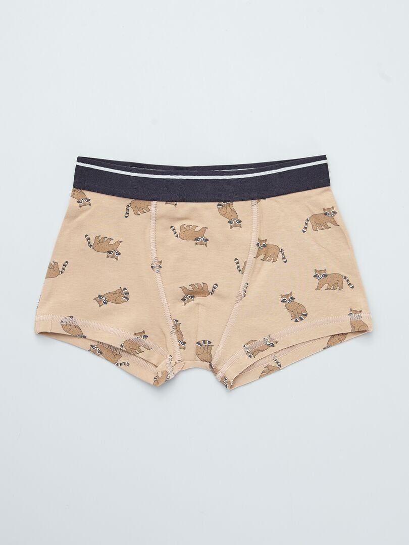 Set van 3 boxershorts - BRUIN