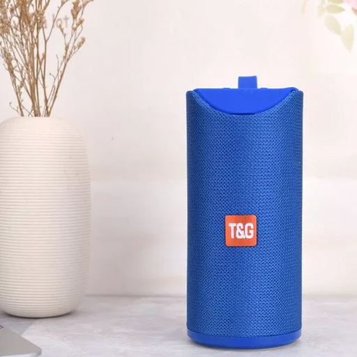 Caixa de som portátil Bluetooth TWS com rádio TG-113