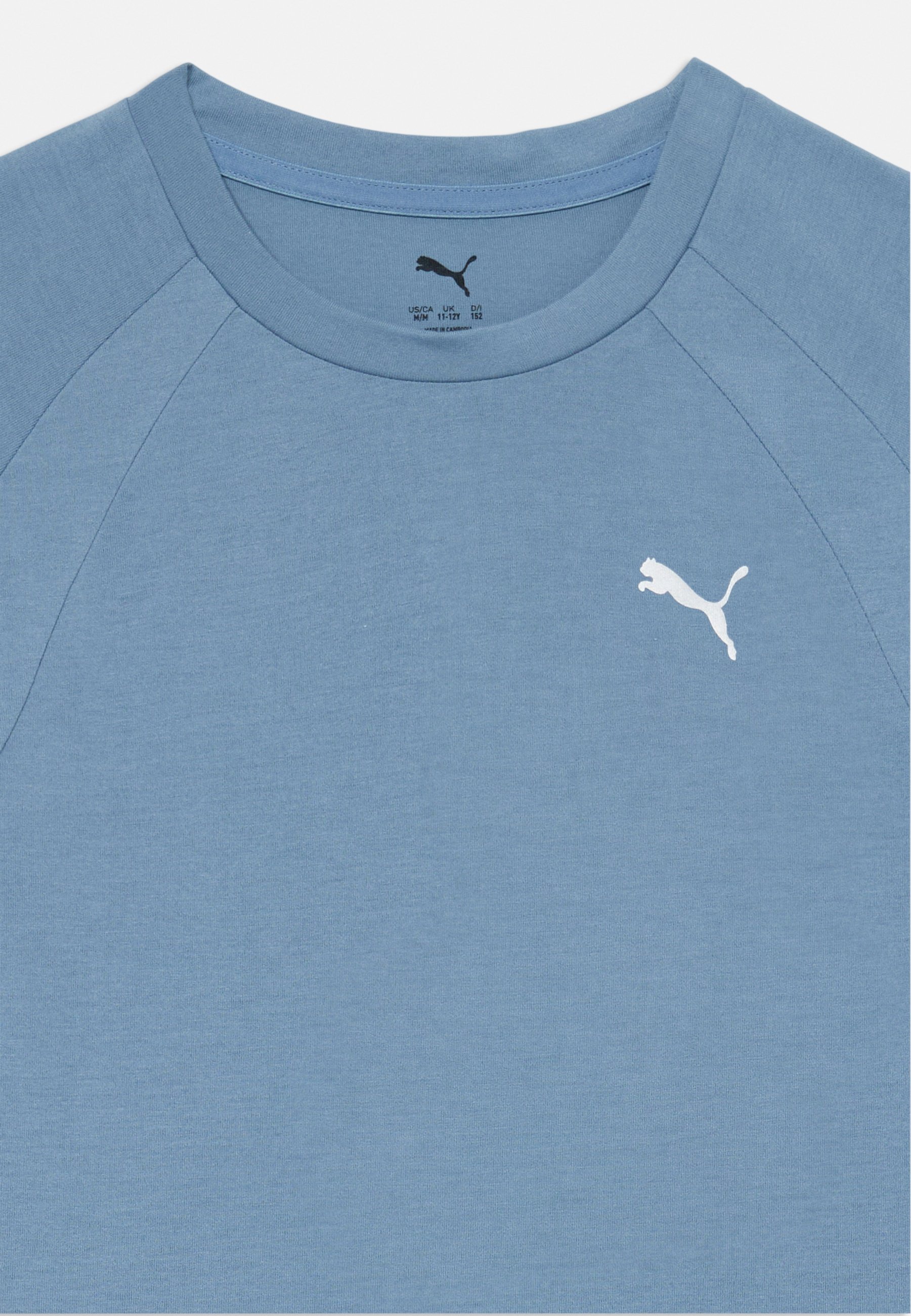 Puma EVOSTRIPE TEE UNISEX - Tekninen paita - cool blue