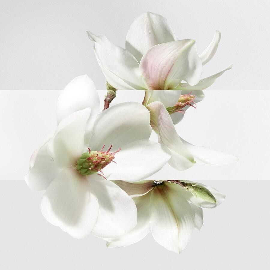 HERMÈS tualetes ūdens kolekcija parfum Jardin Un Jardin Sur La Lagune - 30 ml