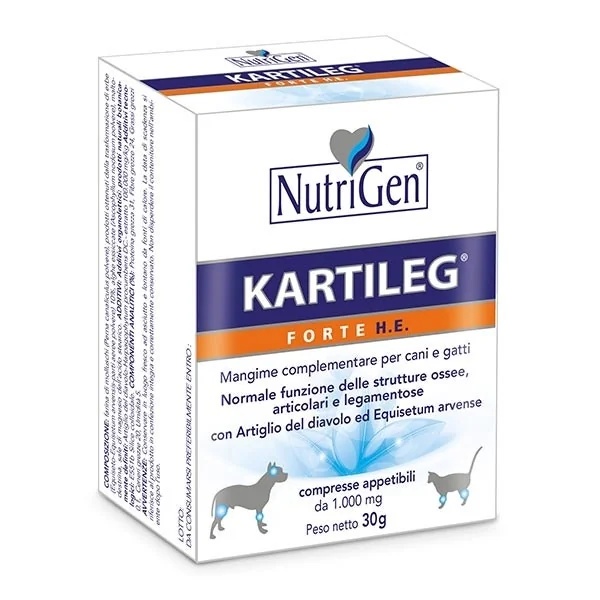 Kartileg Forte He 60 comprimidos
