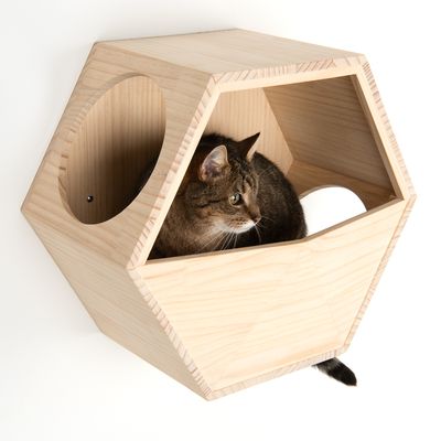 Lulu Wandmontiertes Katzenhaus