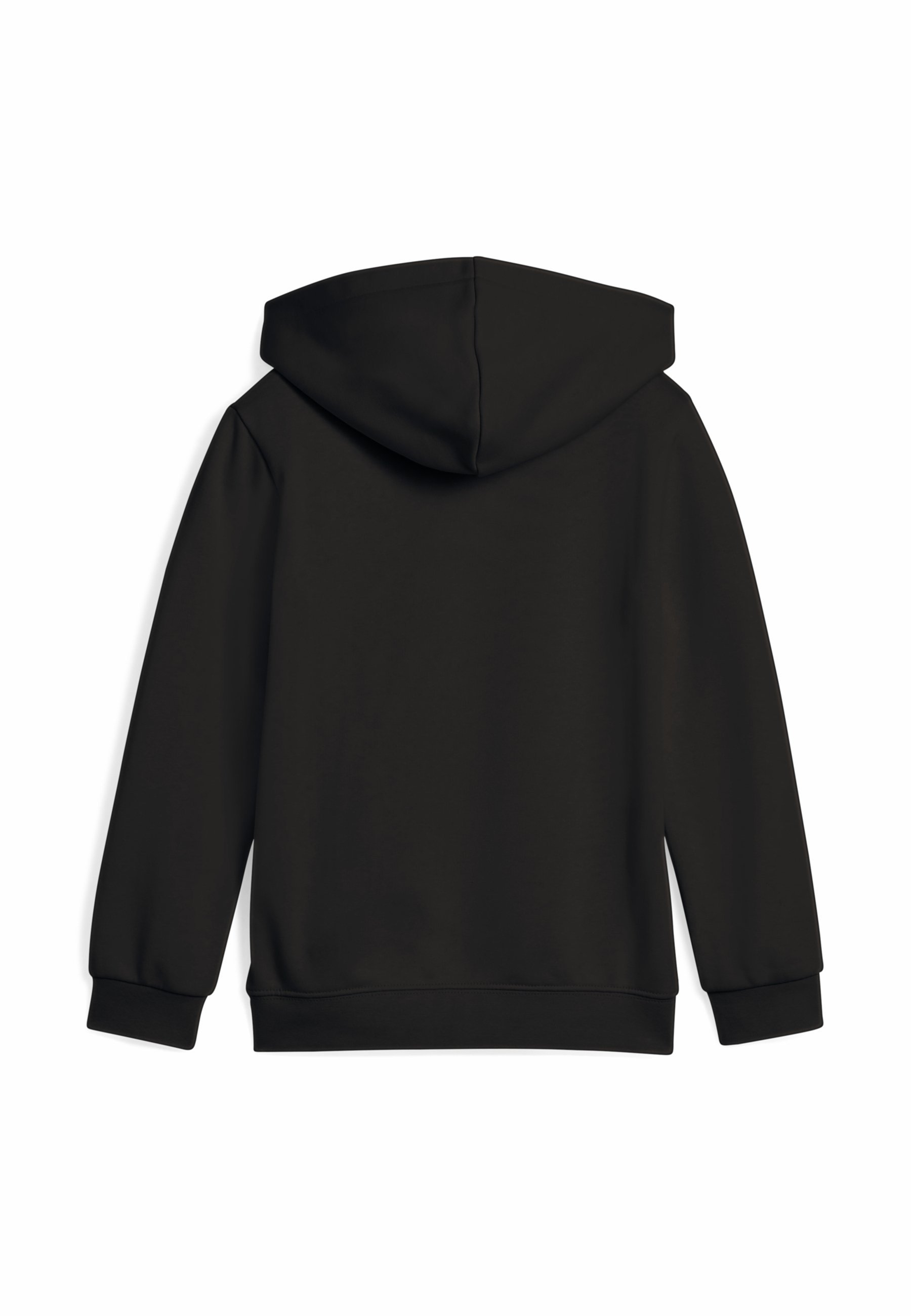 Puma SUPER - Hoodie - zwart