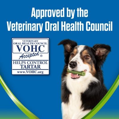 Purina Dentalife ActivFresh Snack per l'igiene dentale quotidiana di cani di taglia grande