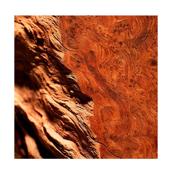 Rød pol