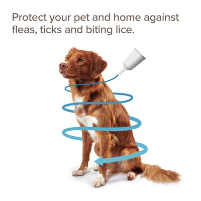 beaphar FIPROtec® COMBO Floh- und Zeckenmittel Spot-On für Hunde - S (2-10 kg)